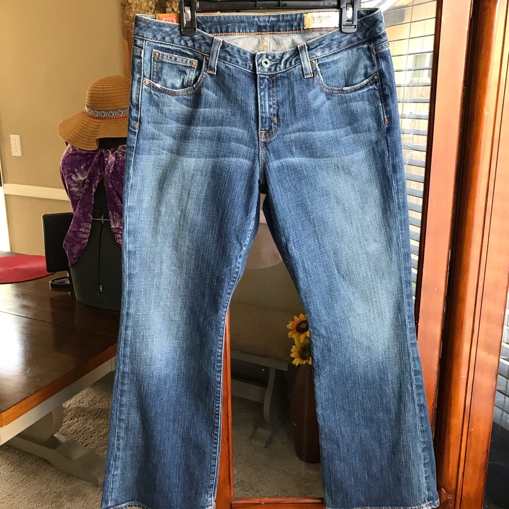 Gap 1969 Premium Collection Jeans size 12